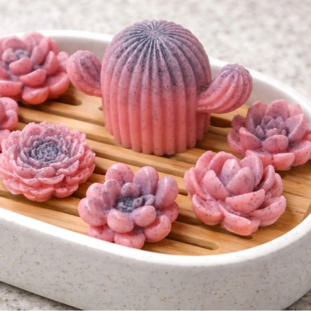 7pc watermelon rose soap set succulents & cactus shea butter based